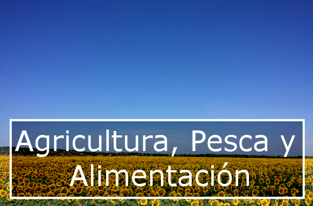 Ayudas para Agricultura, pesca y alimentación de Castellón
