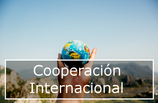 Ayudas a la cooperación internacional