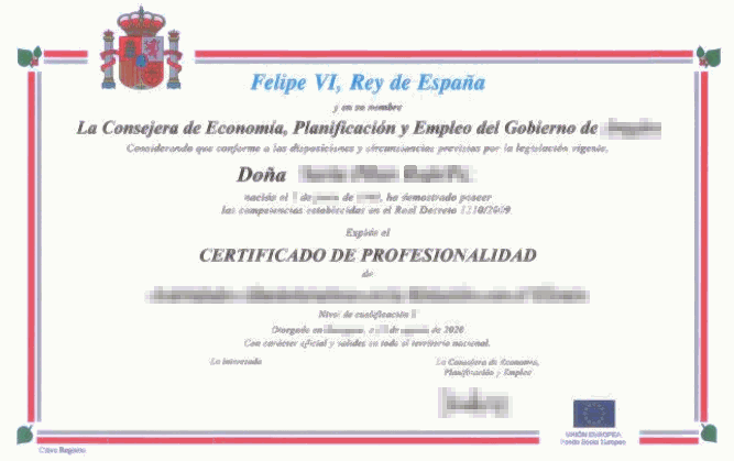 Ejemplo de certificado de profesionalidad
