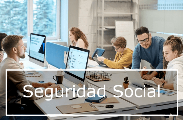 Sede electrónica de la Seguridad Social Online para personas físicas