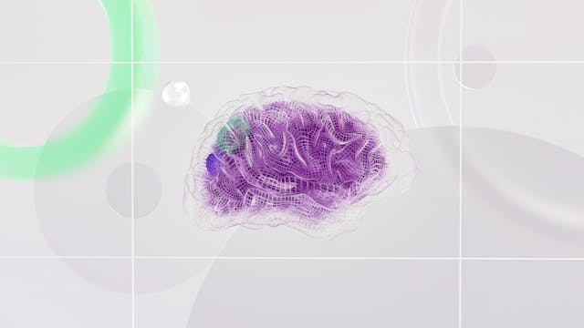 Cerebro humano