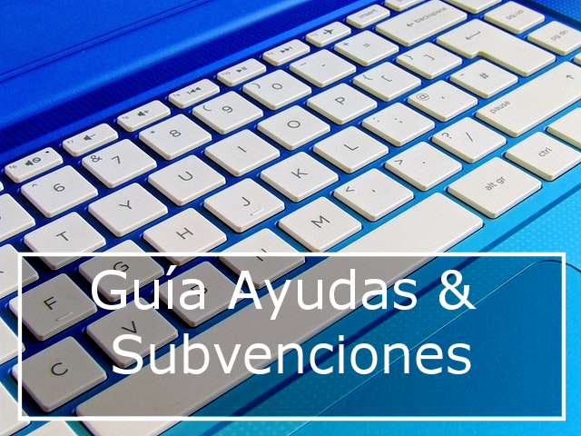 Guía de Ayudas Públicas